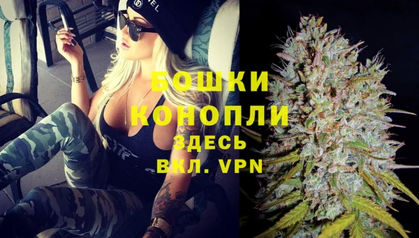 хмурый Козловка